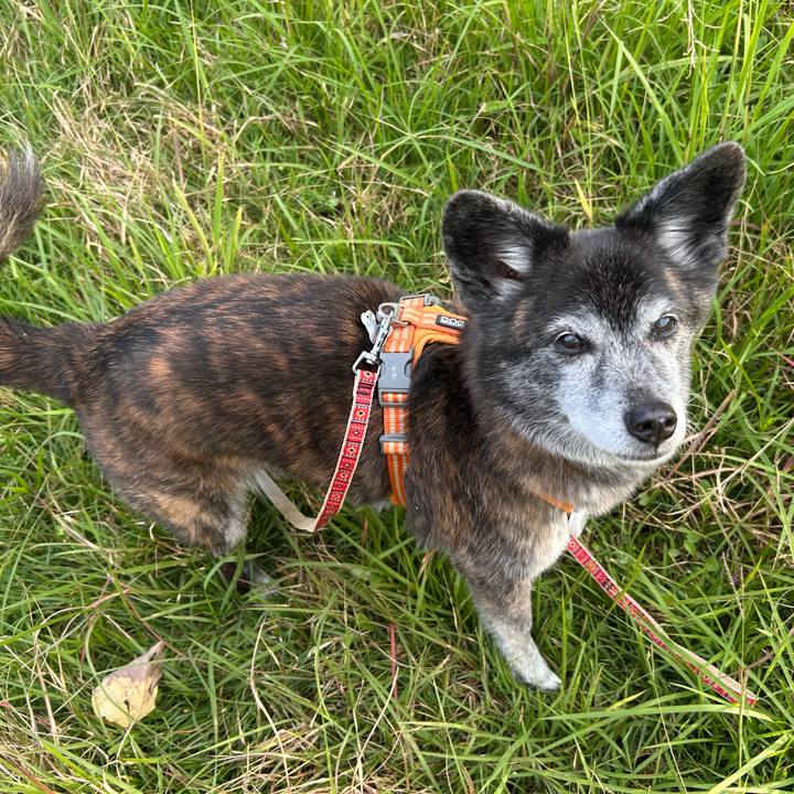 B28f0341 329d 4105 9110 45c25a26a975 1764287035986