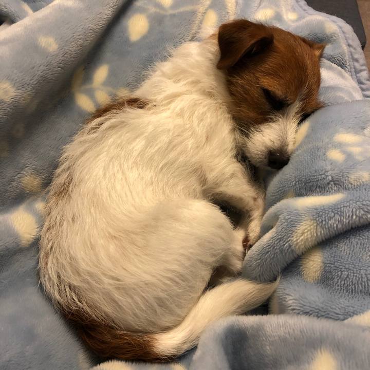 B28f18c7 97b0 4177 aea0 5d4c76f4fffa 1626472894753