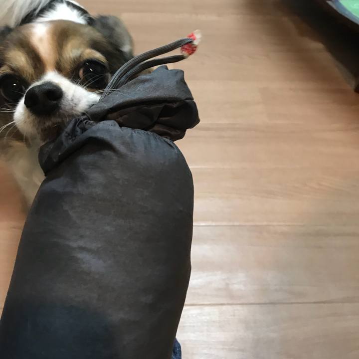 B28f82df 015a 458c 93cd 92563e05e0d3 1525873854531