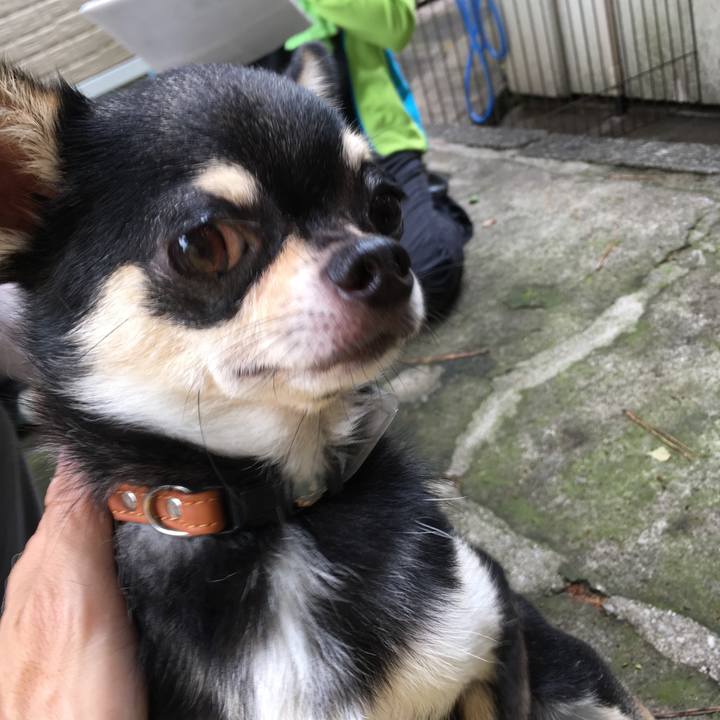 B28fc841 d291 48ea a5ee 960c249420a8 1531463296439