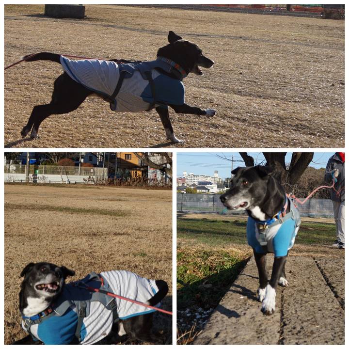 B28fd176 c03a 46ed 92b0 7e97c8a27c69 1767056728427