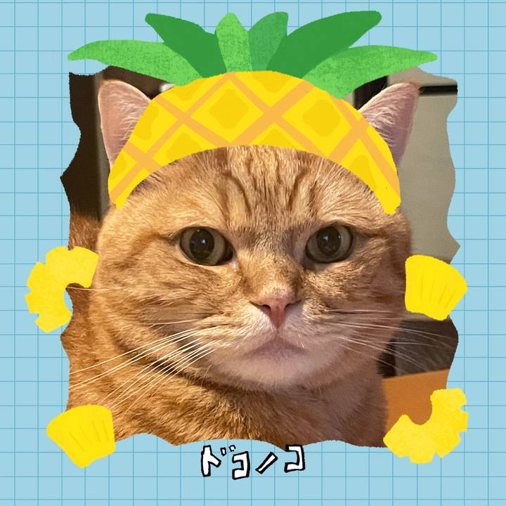 B28fe7c6 e926 48ce 9fd5 8a26efe6057b 1783505508661