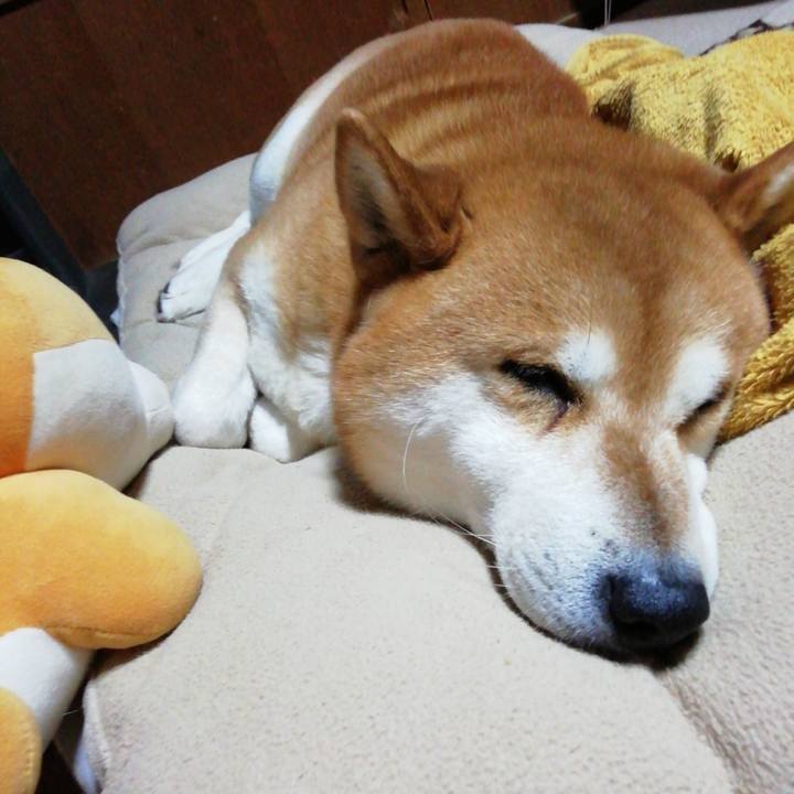 B290278a 82c1 4301 bb55 d50e6ccf51b0 1647431918290