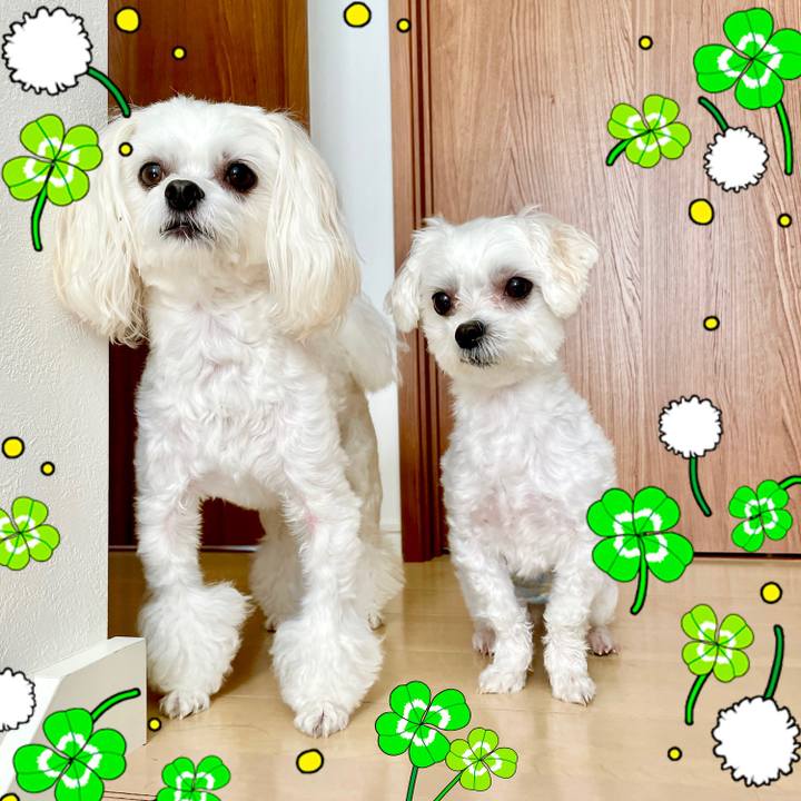 B290373e af12 4ced bc6f 40b988b626a2 1628220043879