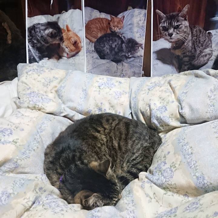 B2903a46 d20e 4954 9381 18696f9b70ba 1653656859068