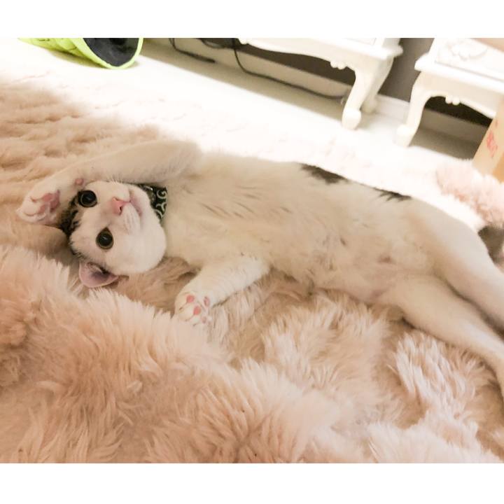 B2904338 90a4 44e0 8374 2eb3ebd7ccfe 1529549493430