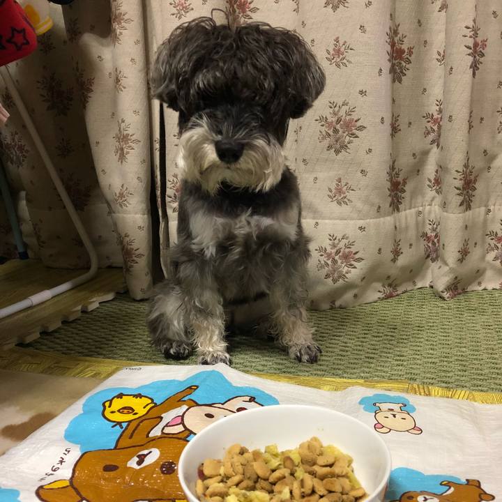 B2906c72 f3c2 40e1 8d7f 9ed5ee74ed66 1514719057159