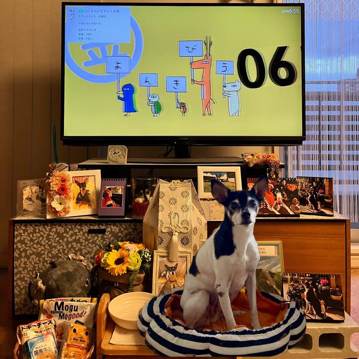 B290a739 c212 4bb4 b678 118ff2c7a451 1671746351258