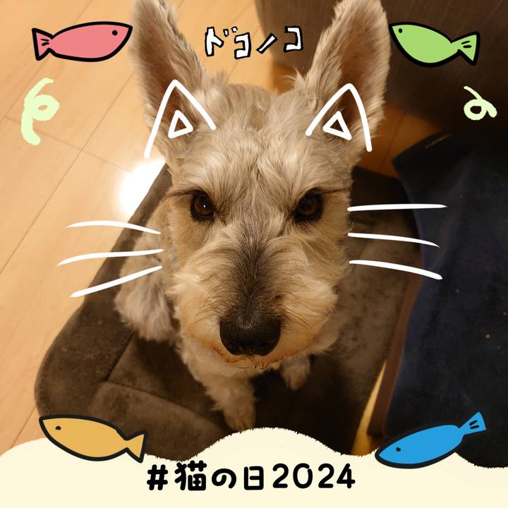 B290b332 fb26 4eb4 b152 d28faf6efe9a 1708601350175