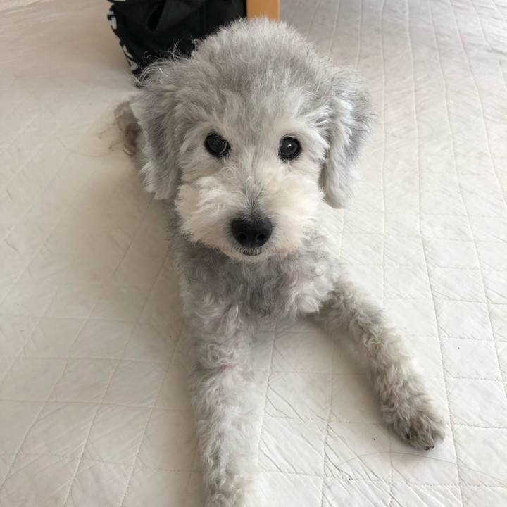 B290c19a 9d0c 4f0a 9cf8 6f2143dd039f 1567740373676