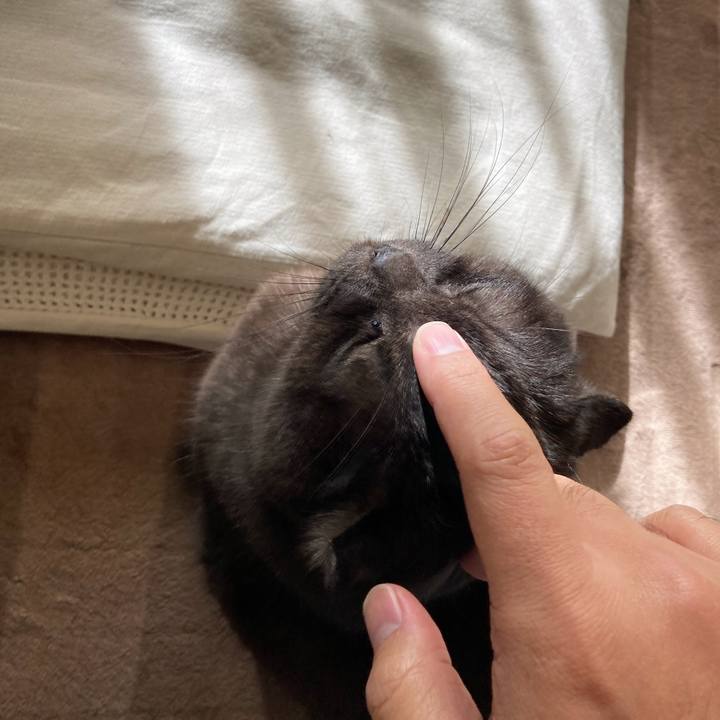 B290cb6e 37d4 4c3e 944b ed699fed06ed 1608701114653