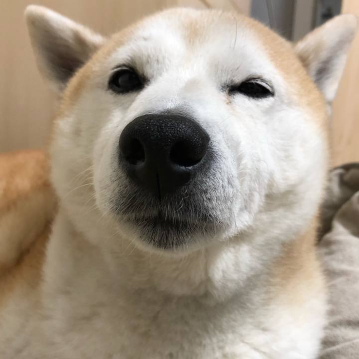 B290f5b4 0974 4362 9fe7 aaccc063166a 1542507420324