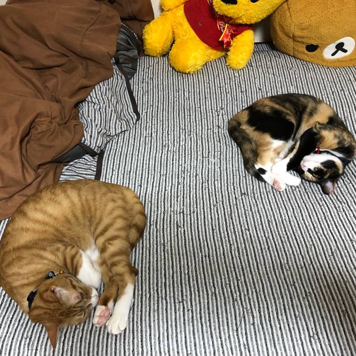 B290fc39 acd2 416b a569 5a21ae43cb18 1566913378734