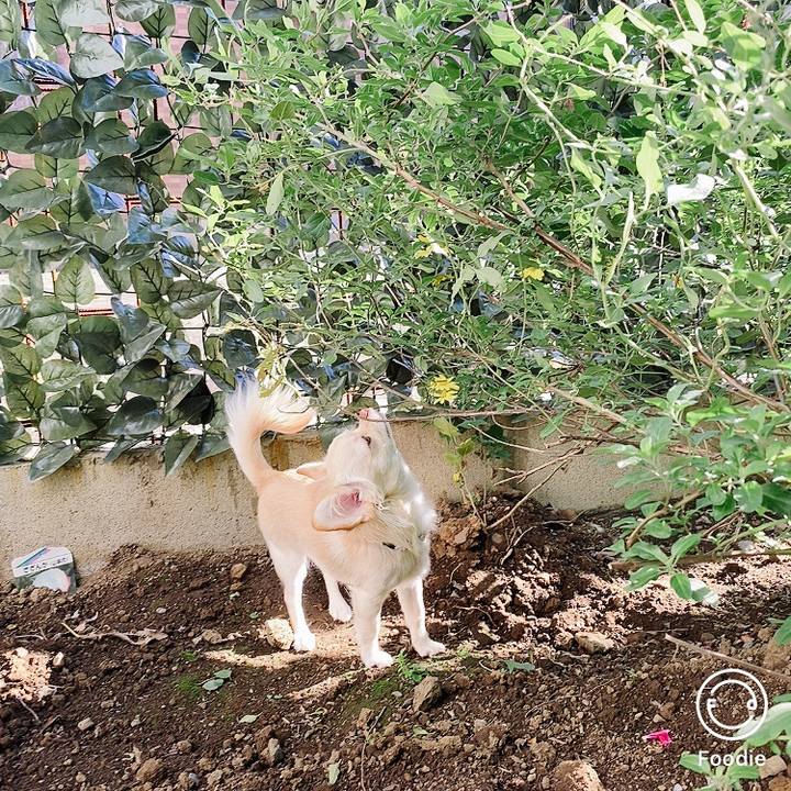 B2913495 4d78 4875 9618 ca979a169f65 1607052908171