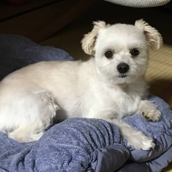 B2915a6b 2c74 49ab 8aea 97d994faabab 1536024300206