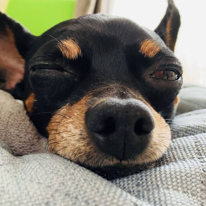 B291950d a8ed 4e80 b7aa ca5cb391deae 1717791225341