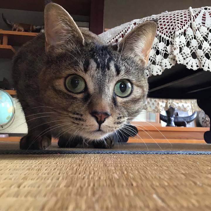 B2919557 ec0b 490b 9827 534d2b58f4f9 1616400774591