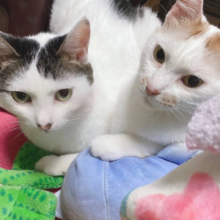 B291dbeb fbbf 4ec0 b305 25aad74f0d75 1595344160674