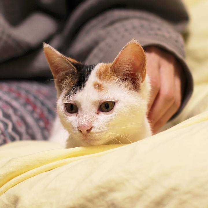 B291e379 2ef5 4125 99f0 5b0f08d876c5 1544268388825