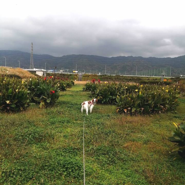 B291f4c1 9d77 4376 8868 33078465bcf3 1605864694276