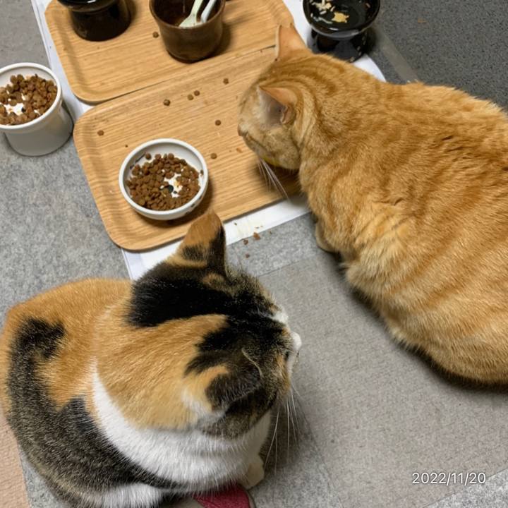 B2923759 6cef 4504 bda4 fdd68342f973 1668938972846