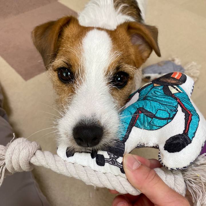 B2925b0a 9682 4b72 8f62 72b679810756 1651969371193