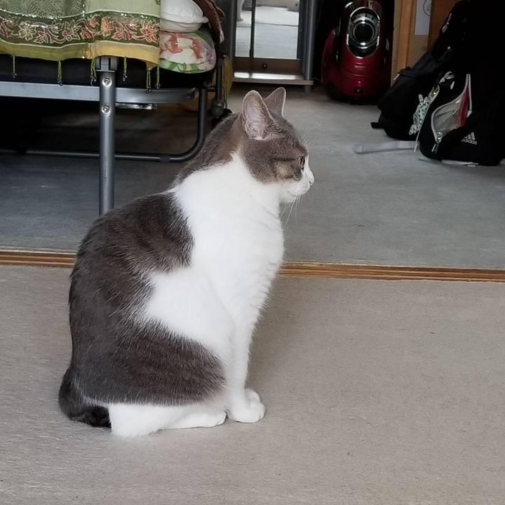 B292651b 68ca 4599 b51f 23ff792d5522 1560215988662