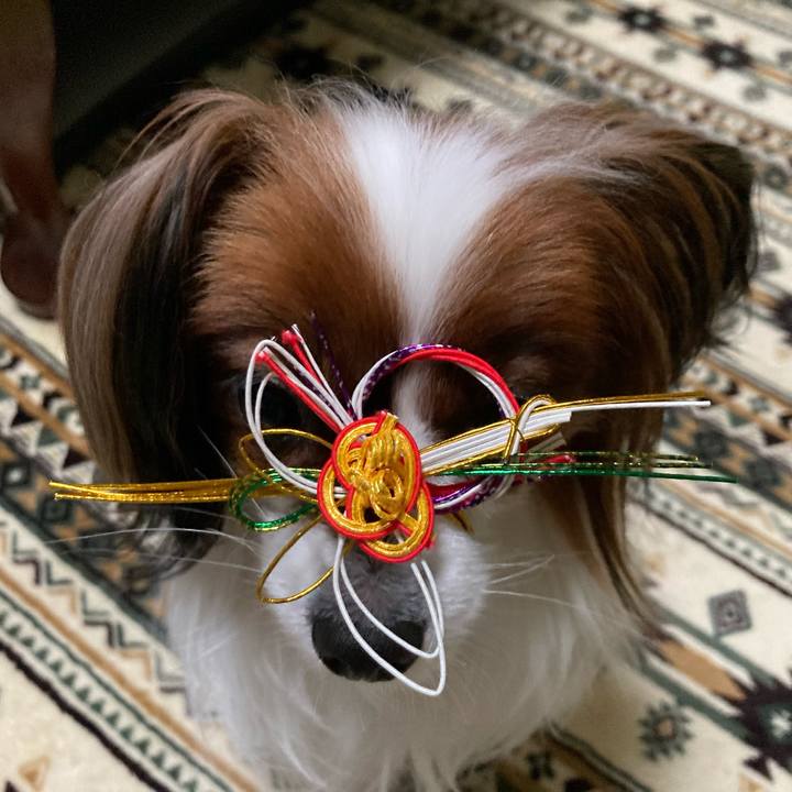 B29274e7 488c 4cf5 8ad4 471f451bf973 1634890237948