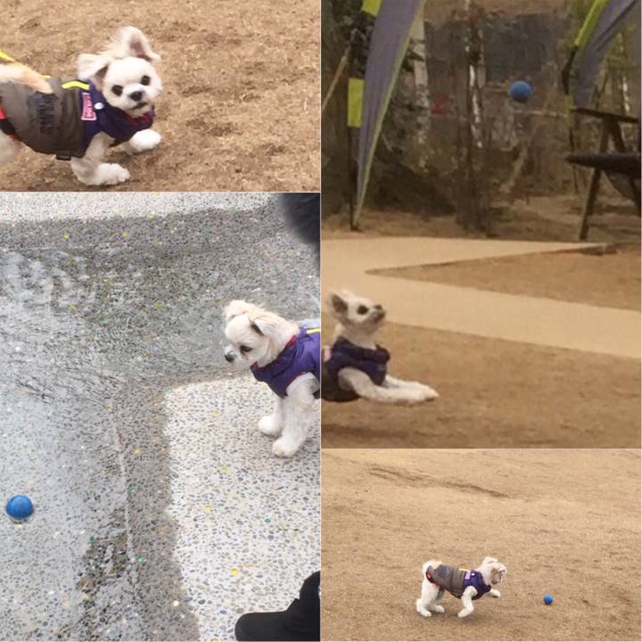 B2927f5a 34d4 4883 8467 aa7006df3601 1516270808342