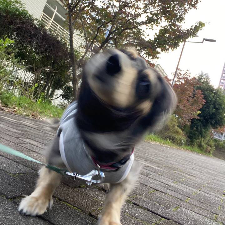 B2929524 6057 4cbc b518 0811da0efc22 1762826407316