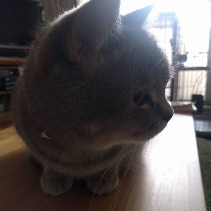 B292a97f 330d 48a1 a76b e09270f6f770 1541634989050