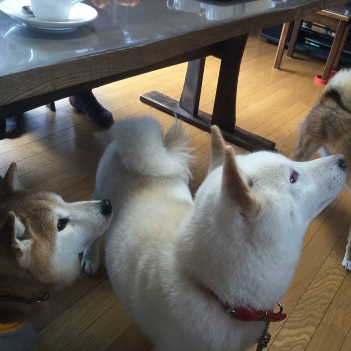 B292ad58 0212 452e b33e 500449c935a4 1534895138555