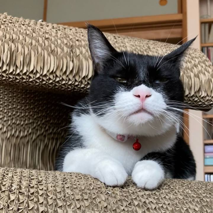 B29307ad 1ed0 4b68 ac42 e9ee5b031c15 1621658805236