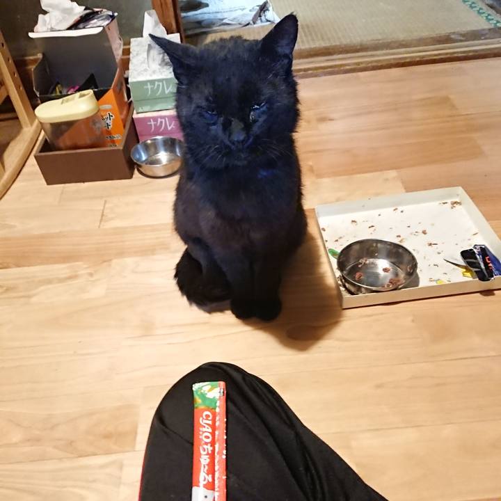 B2935149 43fb 47c1 ba05 b7b5eb4ee721 1623240939629