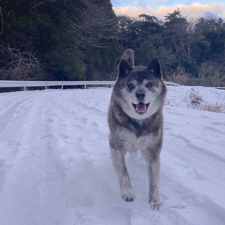 B2936193 2cbd 4f75 8892 57d0f1024569 1676626892667