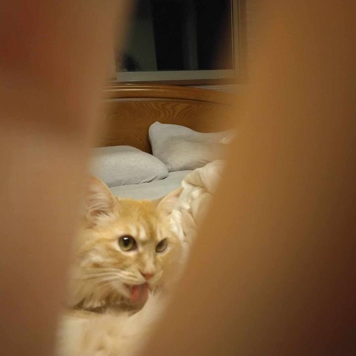 B29370d0 0316 4d9b a2dd 3375864a3519 1687954128288