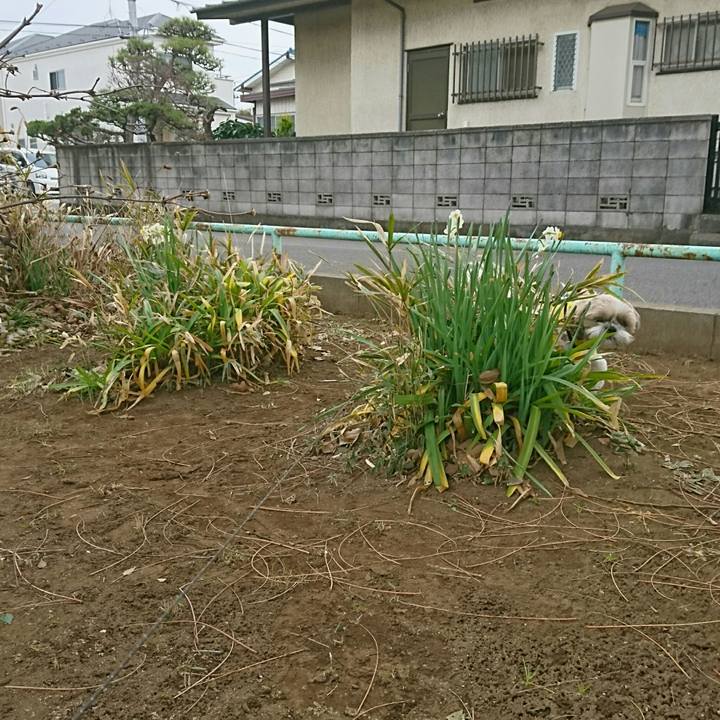 B2937f48 a6f3 4618 866c 5cfafc4d9a3a 1549346142784