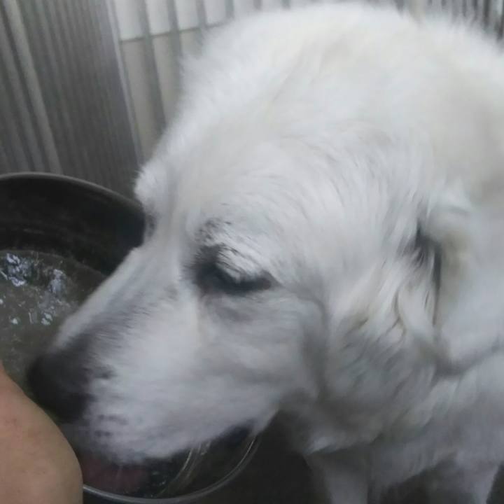 B2938395 6a88 4afa a35a 12ed02223313 1516834933406