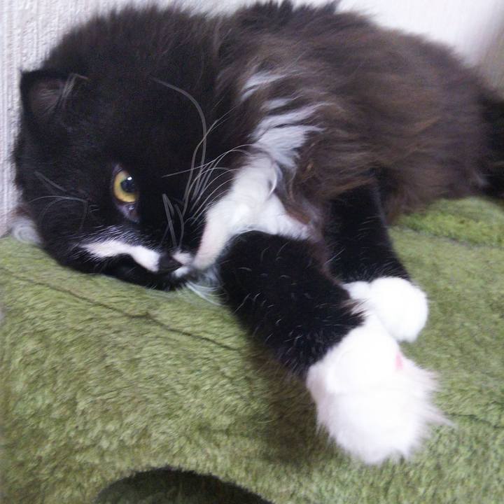 B29399b5 a174 4b24 8c87 da9bb9f438d3 1660793884361