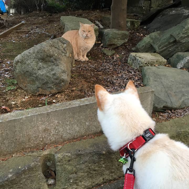 B293a716 9145 4a42 a36d 93ea024c420f 1513936530056