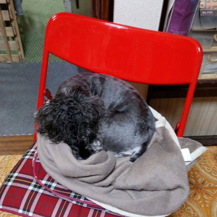 B293c414 df32 4753 bbef ff5335d4005d 1511351903547