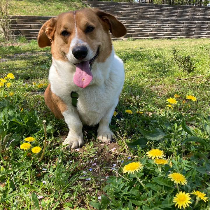 B293d632 ed49 4b7a 8596 b1c1f5e5fe87 1713401054071