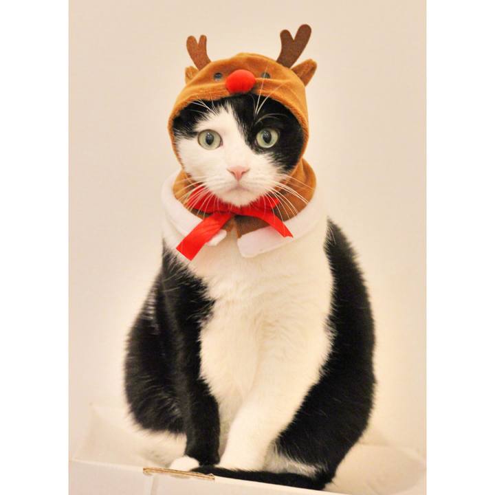 B293f6b8 535e 499b 96c5 3f53f91d7516 1577201876348