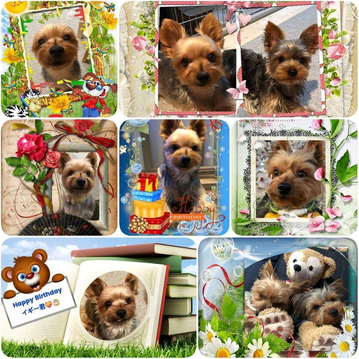 B2940f4e 57f3 4bec 9de6 daaf88f98355 1590535405426