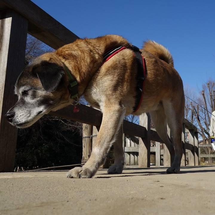 B294170b f581 4b36 ae21 45b2ae06fa85 1518399916933