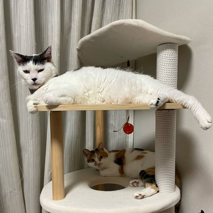 B2941aab 1c98 4f35 ac0f c2571bda5b2a 1633006949682