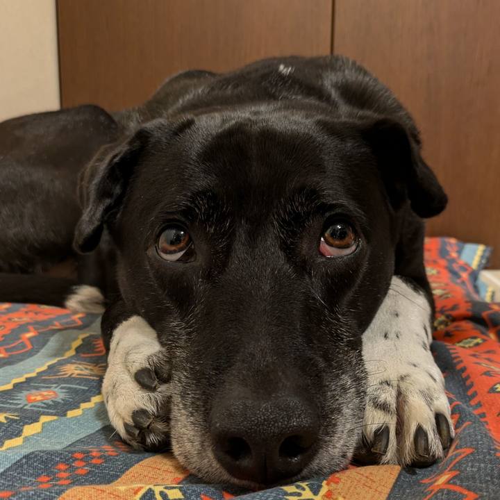 B29433d2 b5b4 4bd0 8939 1e03afa1c536 1719053891642