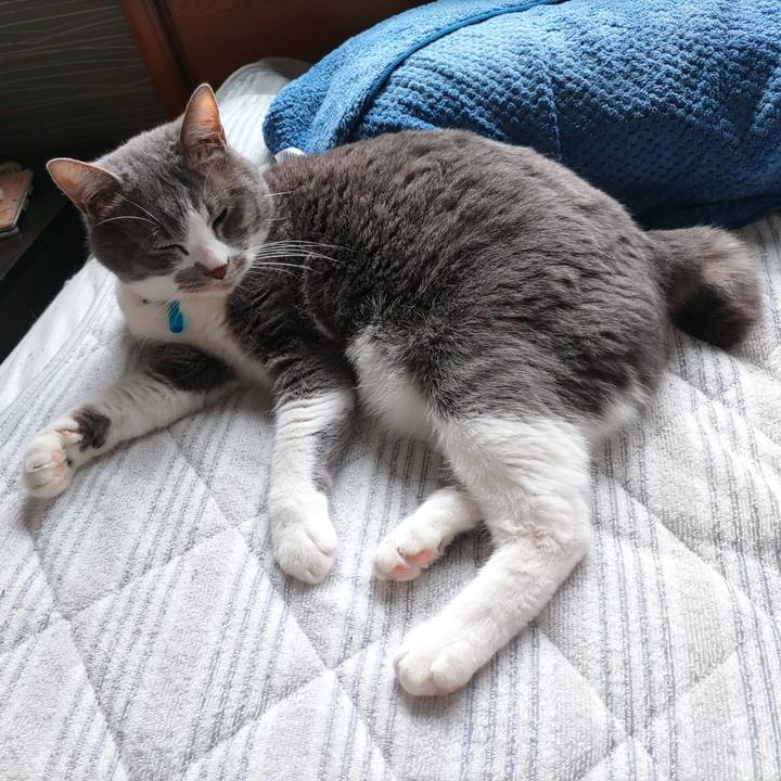 B29434a2 7bd1 4baa b2ff e8f857f6e206 1713229546818