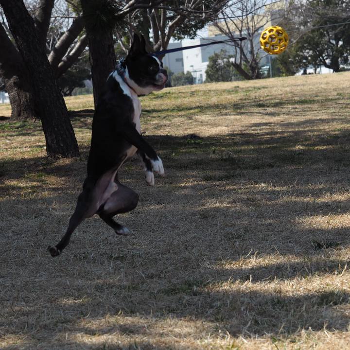 B2947cbc 392d 4bb4 83fd 5d09b480c9d8 1647073887500