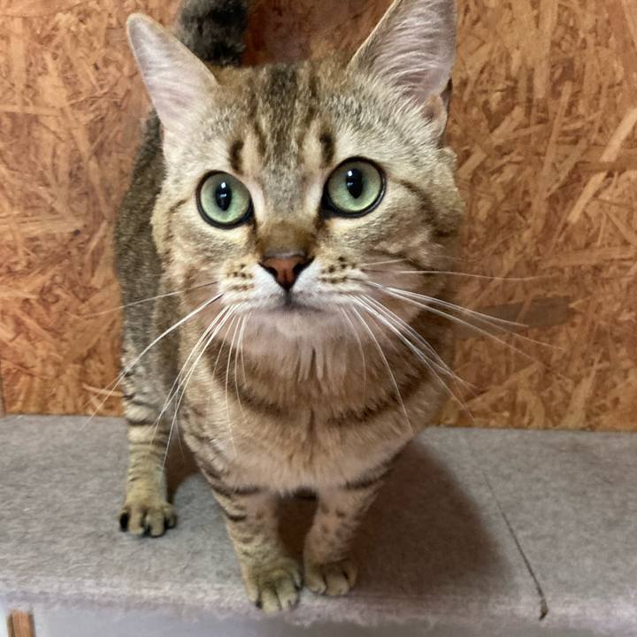 B2947f07 2333 4904 953d bbc6f6c53dd7 1623918702724